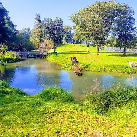 Huge & Private Villa In Kibbutz Дафна Екстер'єр фото