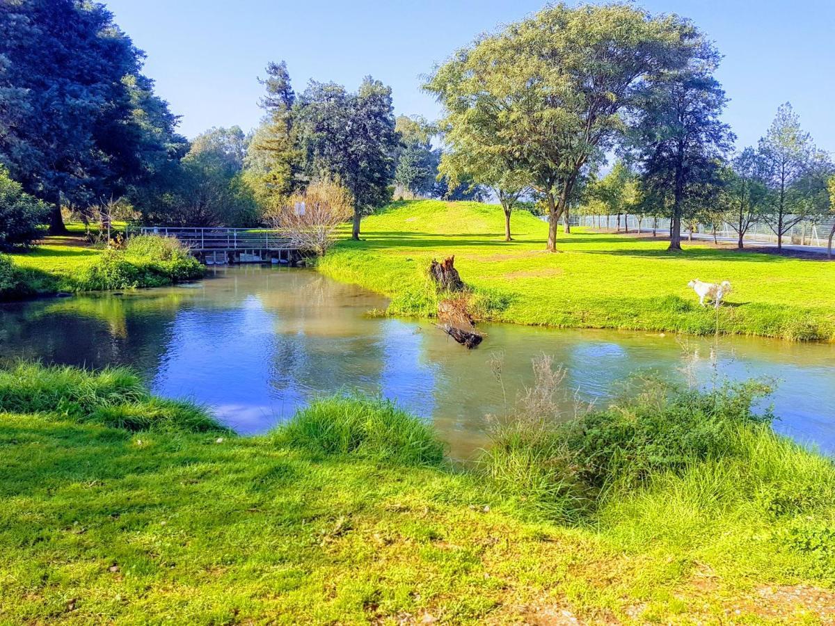 Huge & Private Villa In Kibbutz Дафна Екстер'єр фото