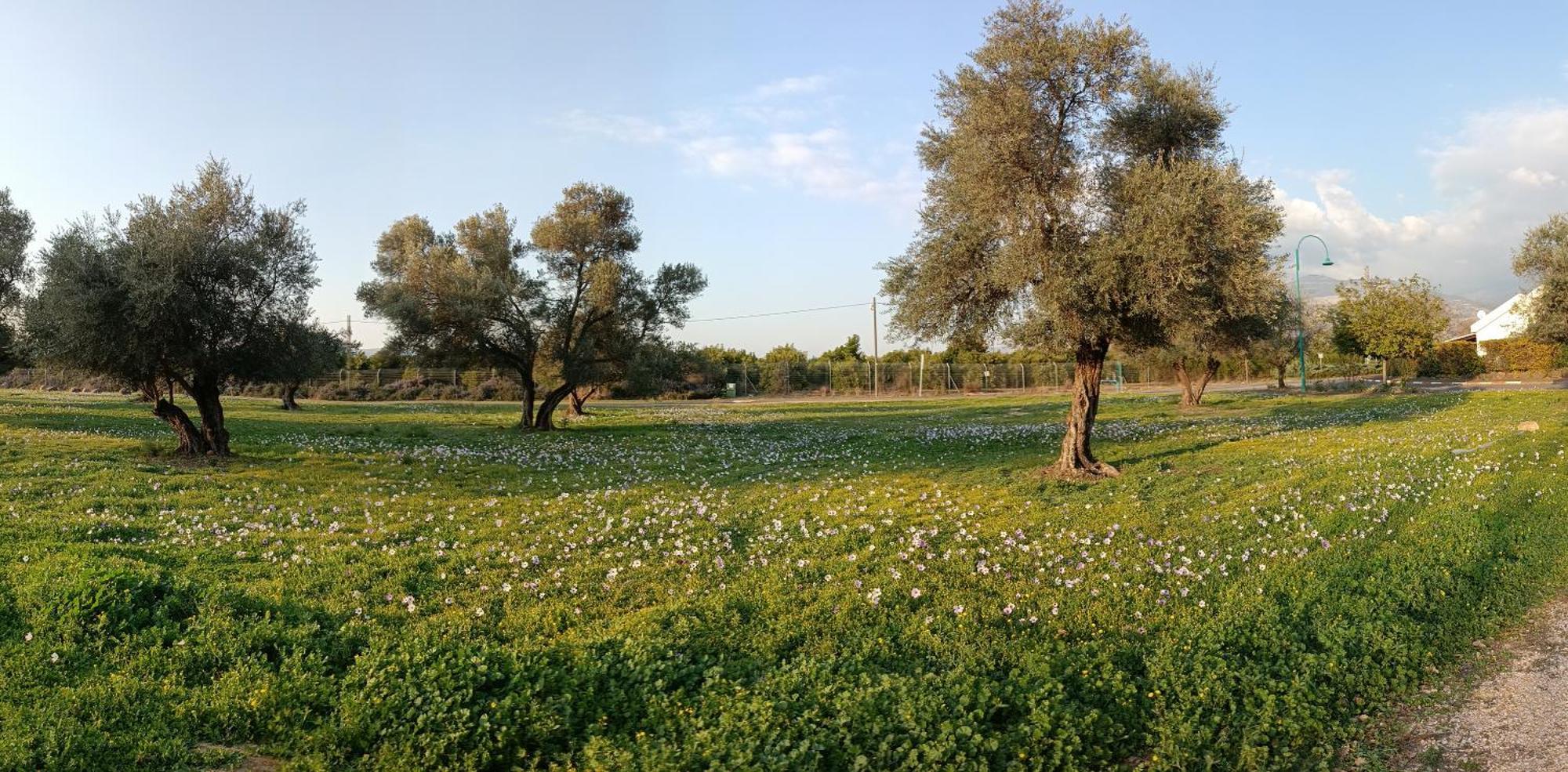 Huge & Private Villa In Kibbutz Дафна Екстер'єр фото