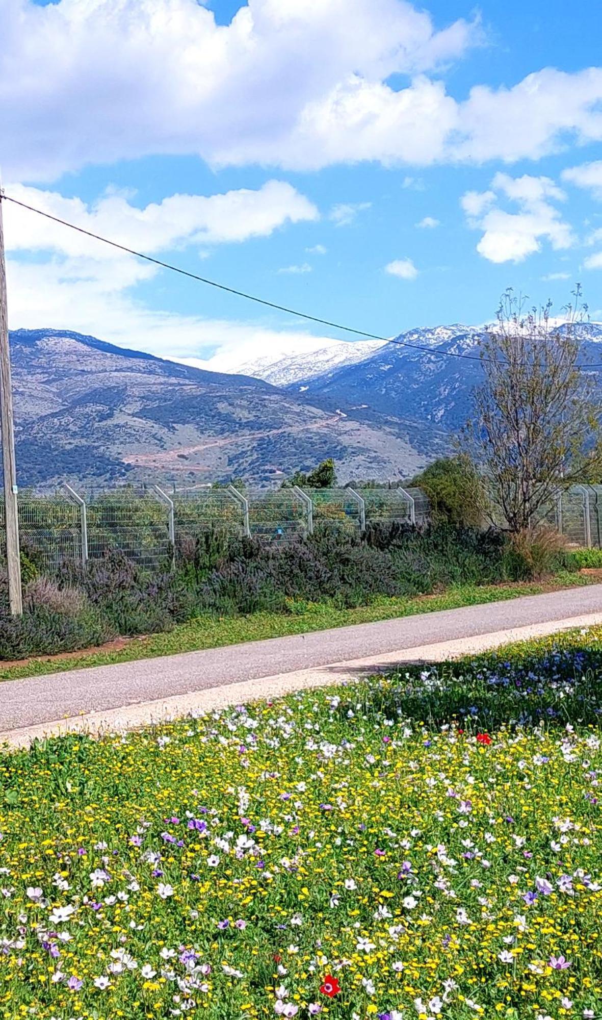 Huge & Private Villa In Kibbutz Дафна Екстер'єр фото