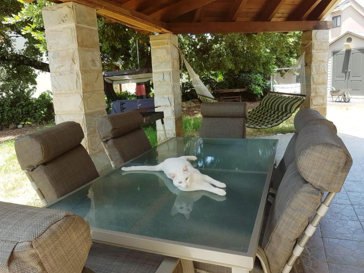 Huge & Private Villa In Kibbutz Дафна Екстер'єр фото