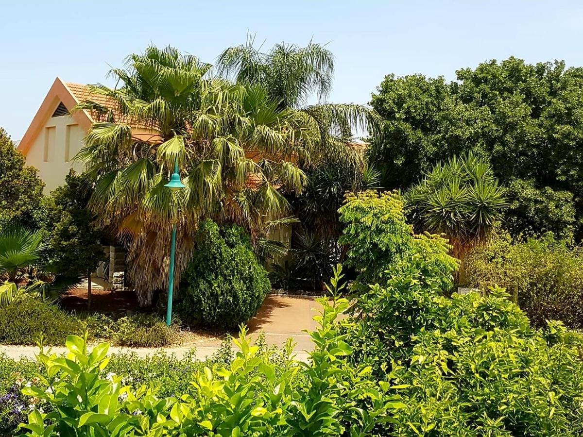 Huge & Private Villa In Kibbutz Дафна Екстер'єр фото